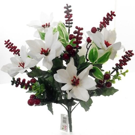 white velvet poinsettia bush with red berries and foliage