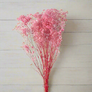 pink GYPSOPHILA BABYS BREATH dried flowers -  70cm in height (120 grams)