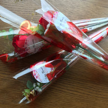 Single red Rose cello wrap