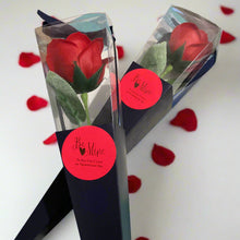 red Soap Rose cello wrap - valentine gift