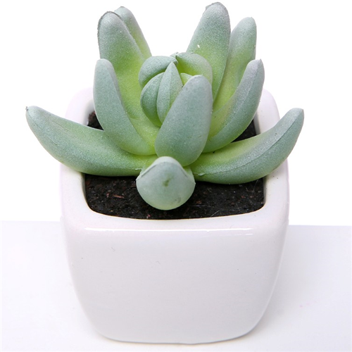 7cm artificial grey/green succulent in white ceramic pot