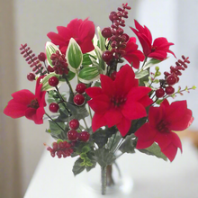 velvet red poinsettia bush with berries