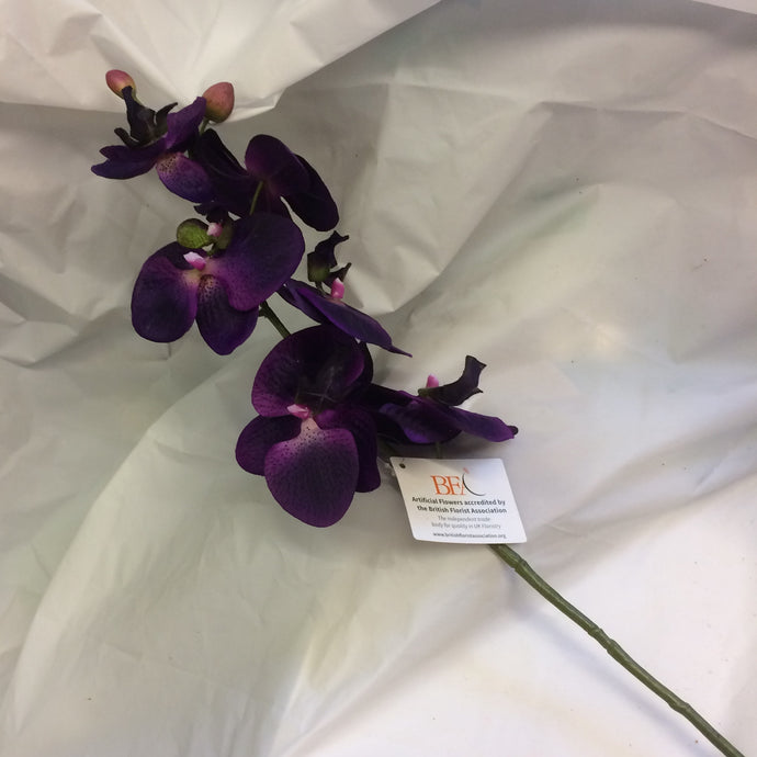 purple silk orchid flower
