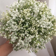 A wedding bouquet collection of artificial Gypsophila